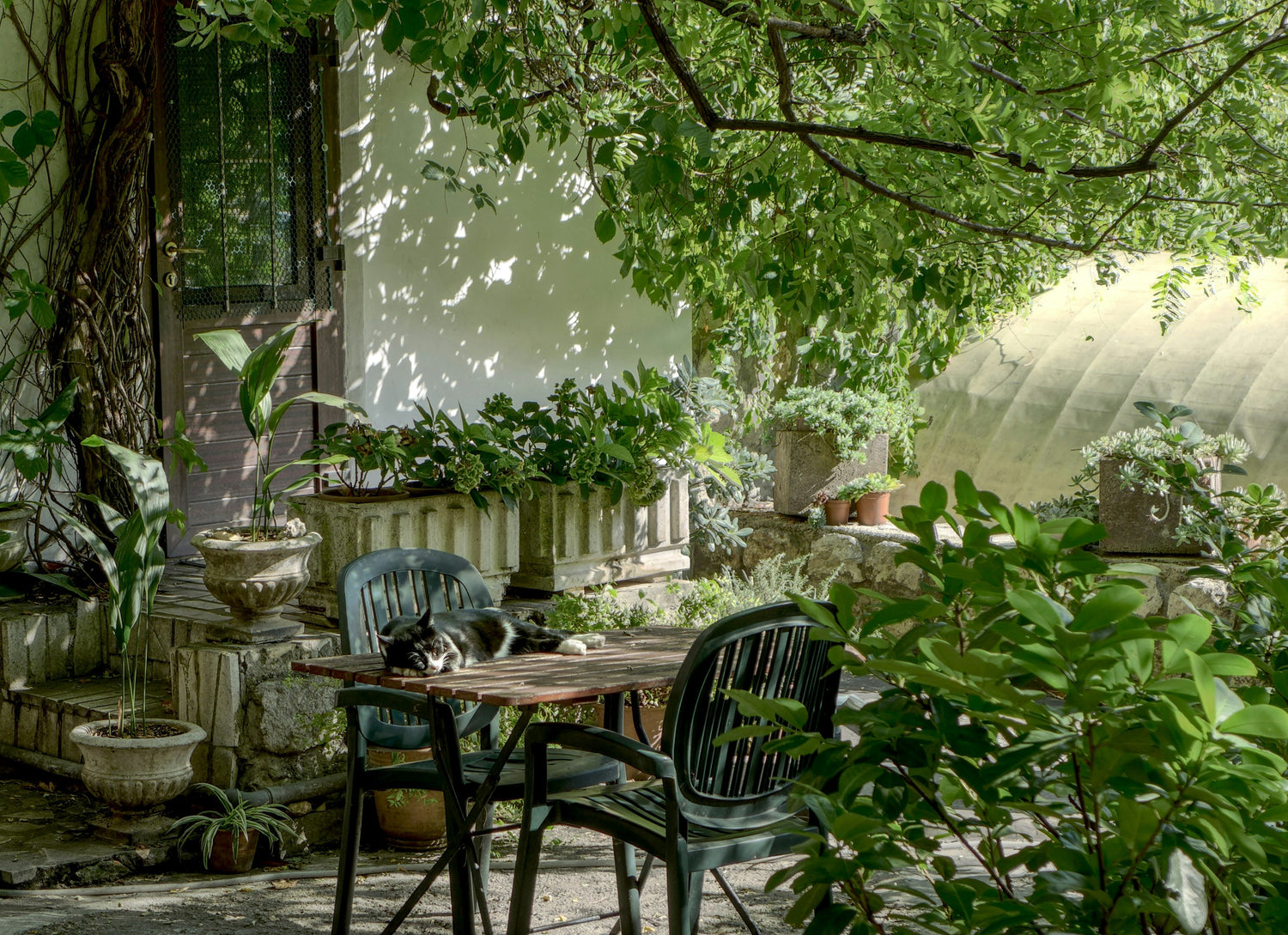Garden Essentials